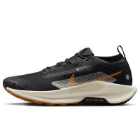 Nike Pegasus Trail 5 GORE-TEX (FQ0908-007)