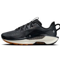 Nike Pegasus Trail 5 (DV3865-006)