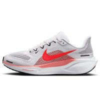 Nike Pegasus 41 (FD2723-109)