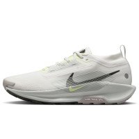 Nike Pegasus Trail 5 GORE-TEX (FQ0908-102)