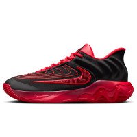 Nike GIANNIS IMMORTALITY 4 (FQ3680-004)