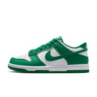 Nike Dunk Low (FB9109-114)