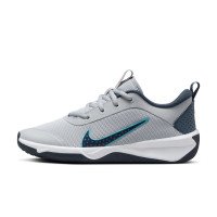 Nike Omni Multi-Court (DM9027-010)