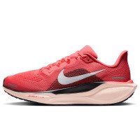 Nike Pegasus 41 (FD2723-801)