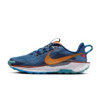 Nike Pegasus Trail 5 (FV5638-400)