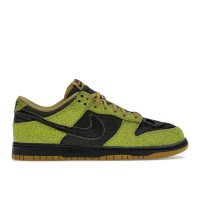 Nike Dunk Low Retro (HV6103-300)