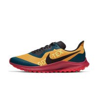 Nike Air Zoom Pegasus 36 Trail GORE-TEX (CT9137-700)