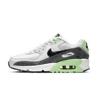 Nike Air Max 90 Kids (GS) (DH4111-100)