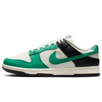 Nike Dunk Low (IB4363-133)