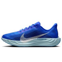 Nike Pegasus Plus (HQ1719-400)