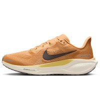 Nike Pegasus 41 (FD2723-800)