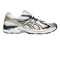 Asics GT-2160 (1203A320)