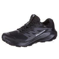 Salomon ALPHAGLIDE GTX (L47802100)