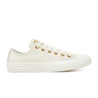 Converse Chuck Taylor All Star Mono Leather (A13814C)