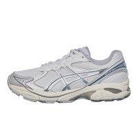 Asics GT-2160 (1203A320-110)