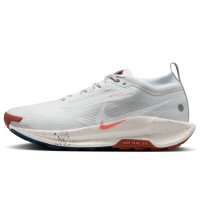 Nike Pegasus Trail 5 GORE-TEX (FQ0908-009)
