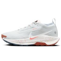 Nike Pegasus Trail 5 GORE-TEX (FQ0912-007)