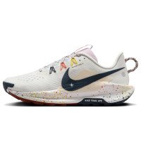 Nike Pegasus Trail 5 (DV3865-102)