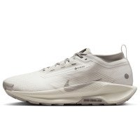 Nike Pegasus Trail 5 Gore-Tex SP (HQ7494-100)