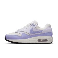 Nike Air Max 1 (DZ3307-011)