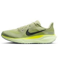 Nike Pegasus 41 (FD2722-303)