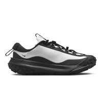 Nike ACG Mountain Fly 2 low (FZ3311-101)