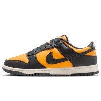 Nike Dunk Low (HF5441-700)