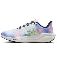 Nike Pegasus 41 SE (HJ7816-400)