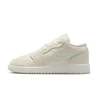 Nike Jordan Air Jordan 1 Low SE (HJ5969-100)