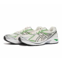 Asics GT-2160 (1203A320-102)