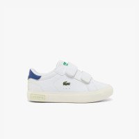 Lacoste Powercourt (50SUI0021-080)