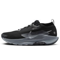 Nike Pegasus Trail 5 GORE-TEX (FQ0908-001)