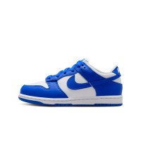 Nike Dunk Low (FB9108-131)