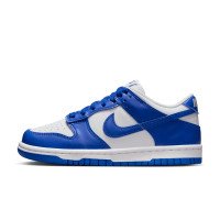 Nike Dunk Low (FB9109-131)