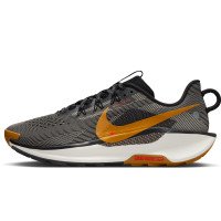 Nike Pegasus Trail 5 (DV3864-009)