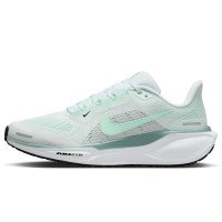 Nike Pegasus 41 (FD2723-113)