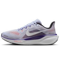 Nike Pegasus 41 (FD2723-013)