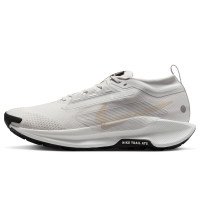 Nike Pegasus Trail 5 GORE-TEX (FQ0908-010)