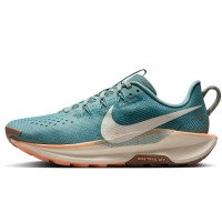 Nike Pegasus Trail 5 (DV3865-010)