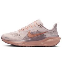 Nike Pegasus 41 (FD2723-604)