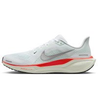 Nike Pegasus 41 (FD2722-115)