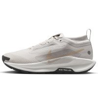 Nike Pegasus Trail 5 GORE-TEX (FQ0912-008)