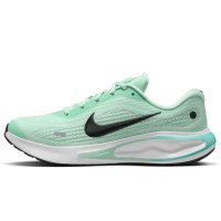 Nike Journey Run (FJ7765-300)