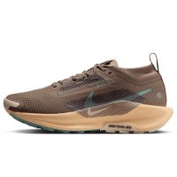 Nike Pegasus Trail 5 GORE-TEX (FQ0912-200)