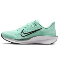 Nike Quest 6 (FD6034-301)