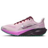 Nike Pegasus 41 (IB4199-500)