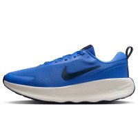 Nike Promina (FV5285-401)