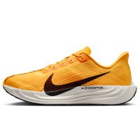 Nike Pegasus Plus LV8 (IH3258-700)