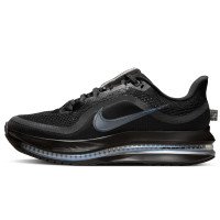 Nike Pegasus Premium (HQ2593-004)
