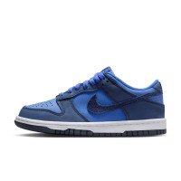 Nike Dunk Low SE (HQ9293-400)